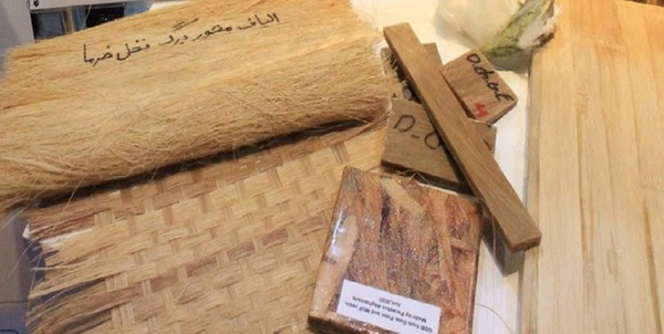 نخل دانشکدگان کشاورزی 