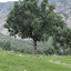 تصویر نمایه‌ی ‌رقیه فتحی تدویی‌