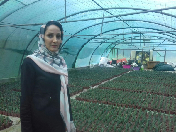 گل خانه