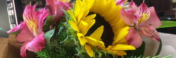 تصویر سربرگ نمایه‌ی ‌فاطمه بلوچی پور‌