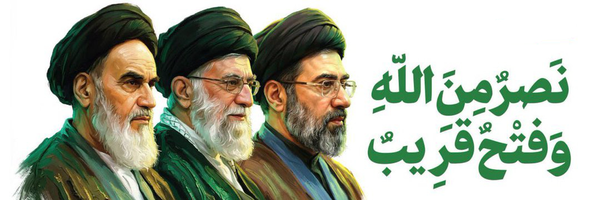 تصویر سربرگ نمایه‌ی ‌سید امین کشاورز‌