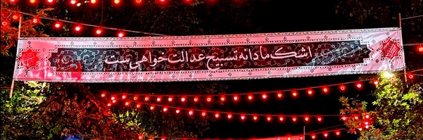 تصویر سربرگ نمایه‌ی ‌محمدمهدی مریدی‌