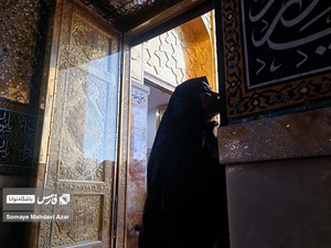 راز و نیاز با امام رضا (ع)، درب ورود ضریح مطهر امام رضا (ع)