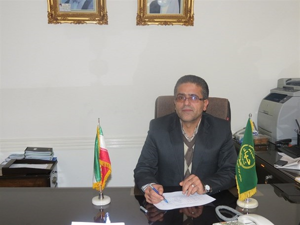 کریم ذوالفقاری