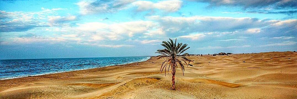 تصویر سربرگ نمایه‌ی ‌سهیل معیری‌