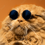 تصویر نمایه‌ی ‌میووشاح‌