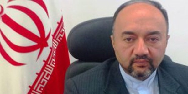 رضا عامری