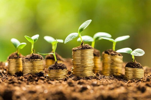 صندوق حمایت از توسعه بخش کشاورزی