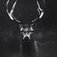 تصویر نمایه‌ی ‌TheReal Deer‌