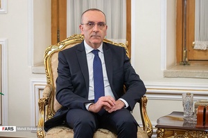 دیدار رئیس کمیسیون سیاست خارجی مجلس ایتالیا با وزیر امورخارجه