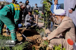 کاشت ۳ اصله نهال  به یاد سه امام جمعه فقید شیراز
