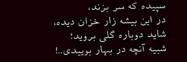 تصویر سربرگ نمایه‌ی ‌مهران امیری‌