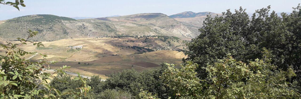 تصویر سربرگ نمایه‌ی ‌سعید زرمحمدی‌