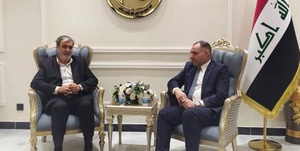 سیاسی