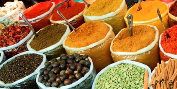 گیاهان دارویی