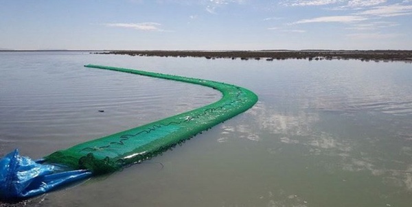 مشک ماری