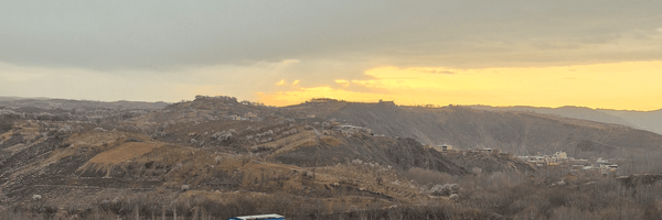 تصویر سربرگ نمایه‌ی ‌یادآور فراموشی ها‌