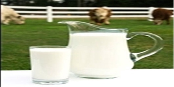 شیر