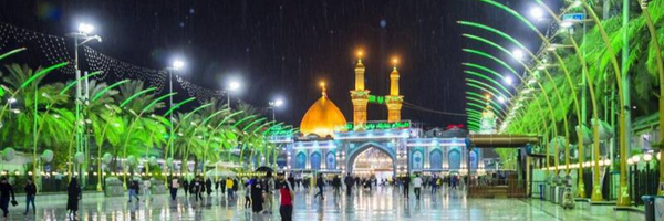 تصویر سربرگ نمایه‌ی ‌سید محمد حسین تقوی‌