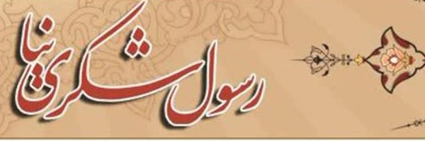 تصویر سربرگ نمایه‌ی ‌رسول شکری نیا‌