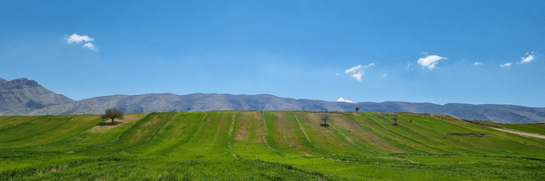 تصویر سربرگ نمایه‌ی ‌کلارا‌
