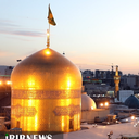 تصویر نمایه‌ی ‌محسن‌