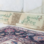 تصویر نمایه‌ی ‌شکارچی (کثرت الوفاقِ النفاق)‌