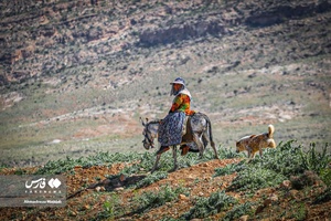 کوچ بهاره «عشایر فارس»