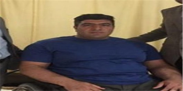 محمدیاری