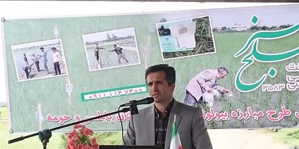 رزاقی جهاد بابلسر