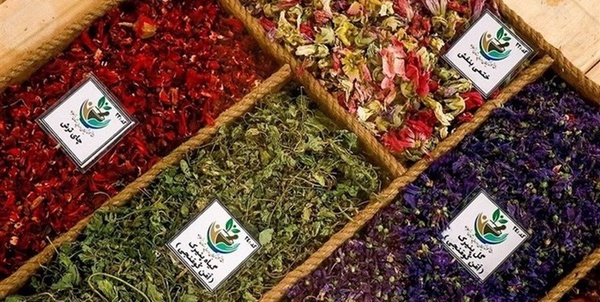 گیاهان دارویی