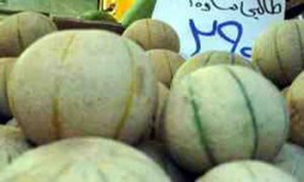 میوه فروشی طالبی