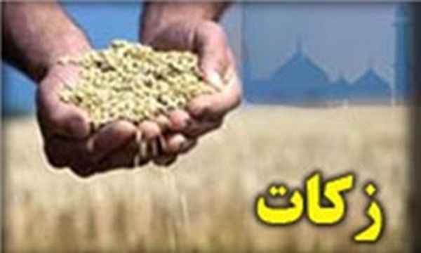 زکات