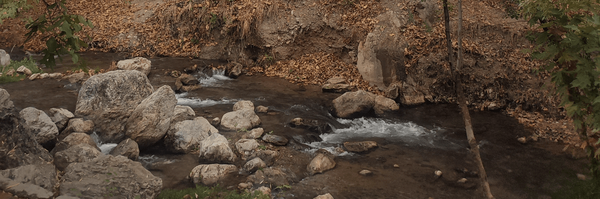 تصویر سربرگ نمایه‌ی ‌زهرا بانو‌