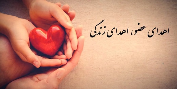 اهدای عضو