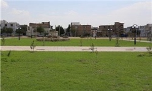 زمین پارک