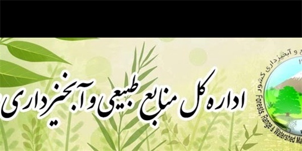 معاون فنی منابع طبیعی استان بوشهر
