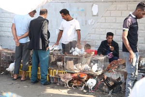 رونق پنجشنبه بازار میناب