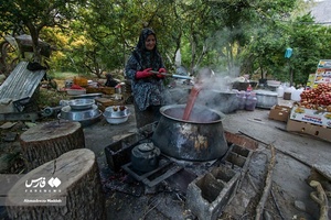 تهیه رُب انار 