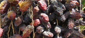 خرما ریگان