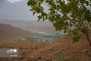 پارک جنگلی آرپادره سی