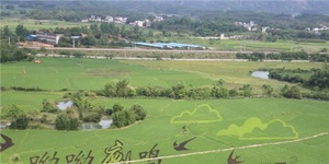 زمین کشاورزی