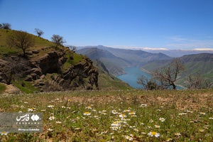 طبیعت «کول میشان»