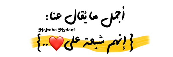 تصویر سربرگ نمایه‌ی ‌مجتبی میدانی‌