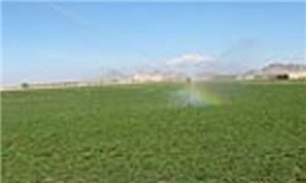 سیستم نوین آبیاری