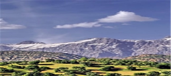 مرتع