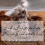 تصویر نمایه‌ی ‌سیدمحمدعلی بنی فاطمه‌