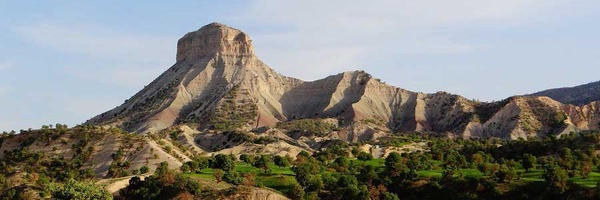 تصویر سربرگ نمایه‌ی ‌زهرا طیبی‌