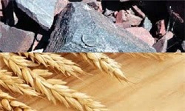 گندم و سنگ‌اهن