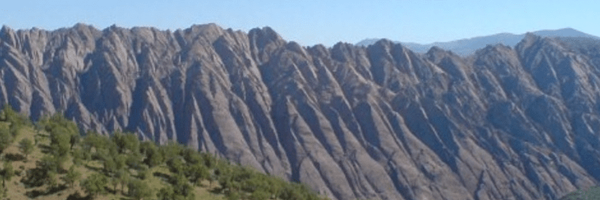 تصویر سربرگ نمایه‌ی ‌دلفان نوری‌